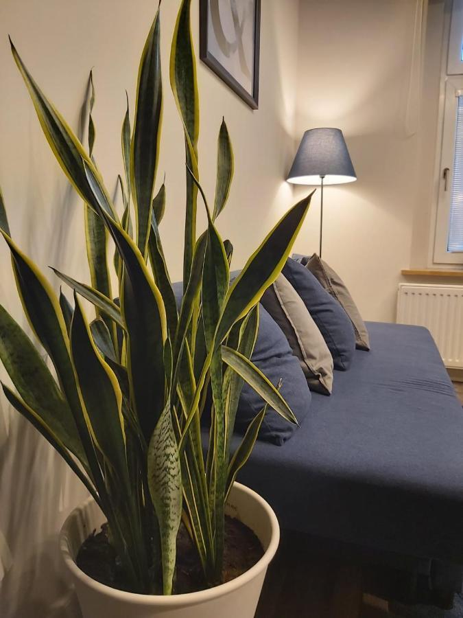 Apartament Na Wyspie Opole Luaran gambar